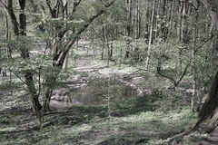 Killikus&reg; Fotographie